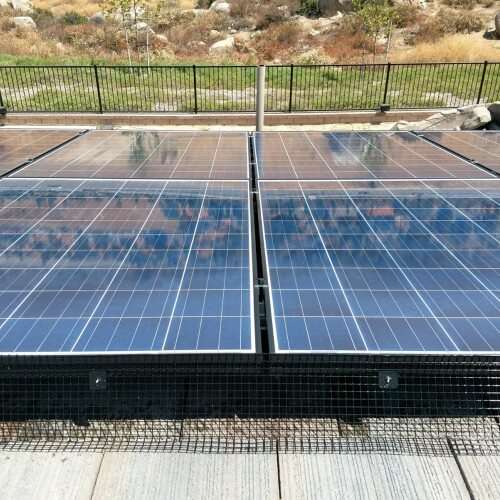 pest prevention barrier on solar panels