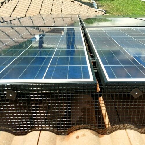 solar panel pest prevention barrier