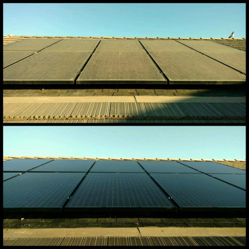 solar panel cleaning services