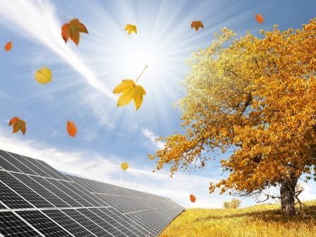 4 Reasons Why You Need to Get Your Solar Panels Cleaned in the Fall